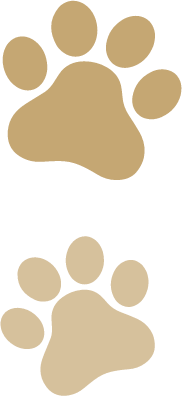 paw 6